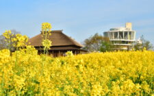 【2026年度版】不動産のプロが調査！新潟市北区のリアルな不動産売却傾向